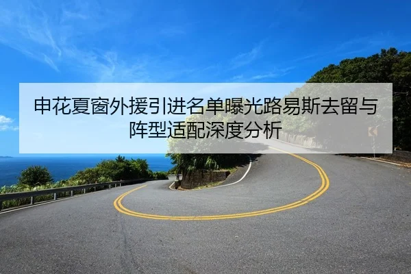 申花夏窗外援引进名单曝光路易斯去留与阵型适配深度分析